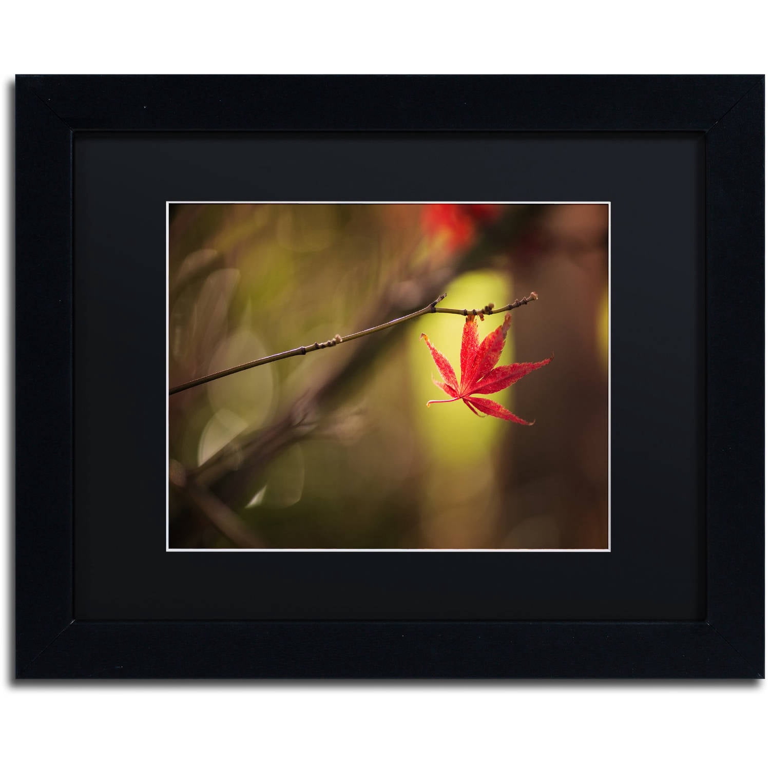Trademark Fine Art "Don't Give Up" Canvas Art by Philippe Sainte-Laudy Black Matte, Black Frame