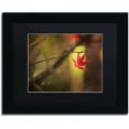 thumbnail image 1 of Trademark Fine Art "Don't Give Up" Canvas Art by Philippe Sainte-Laudy Black Matte, Black Frame, 1 of 4