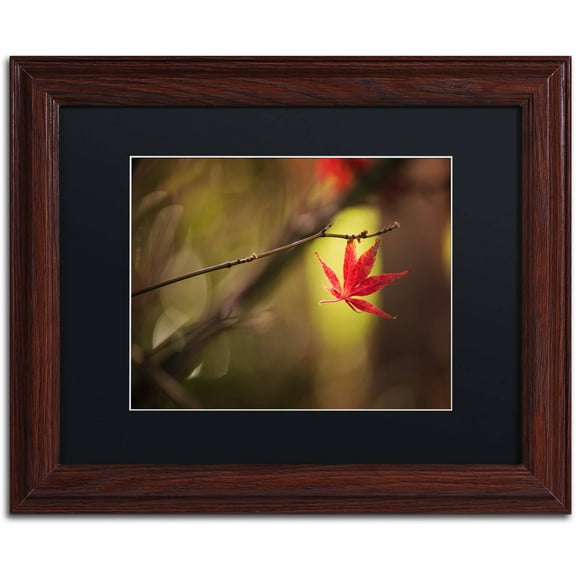Trademark Fine Art "Don't Give Up" Canvas Art by Philippe Sainte-Laudy Black Matte, Wood Frame