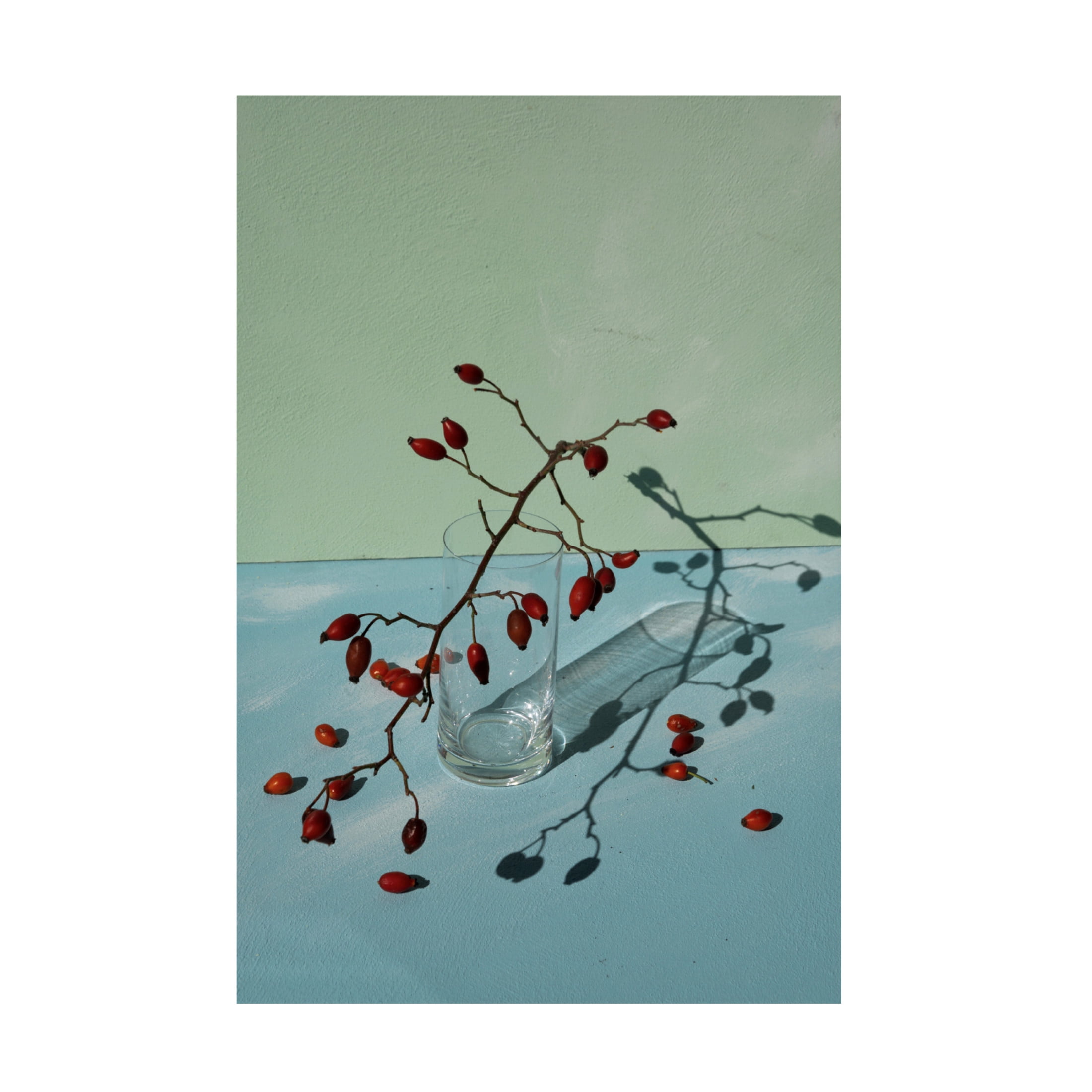 Trademark Fine Art Donatella Basso Light A Shadow Canvas Wall Art