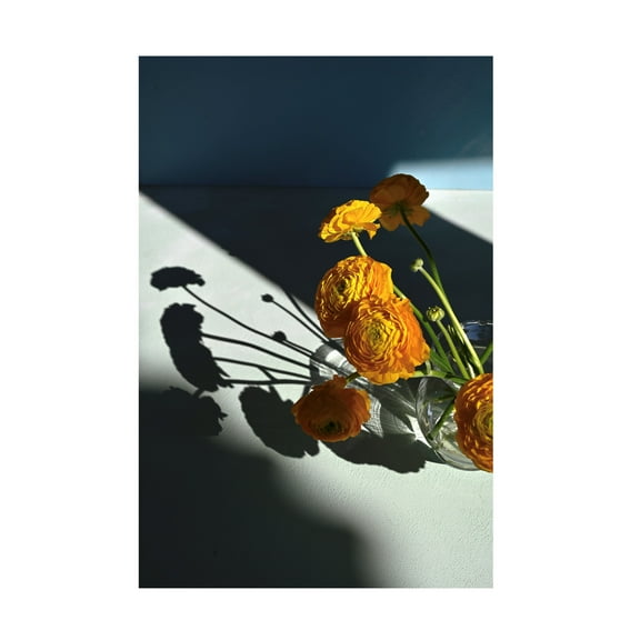 Trademark Fine Art Donatella Basso Yellow buttercups Canvas Wall Art