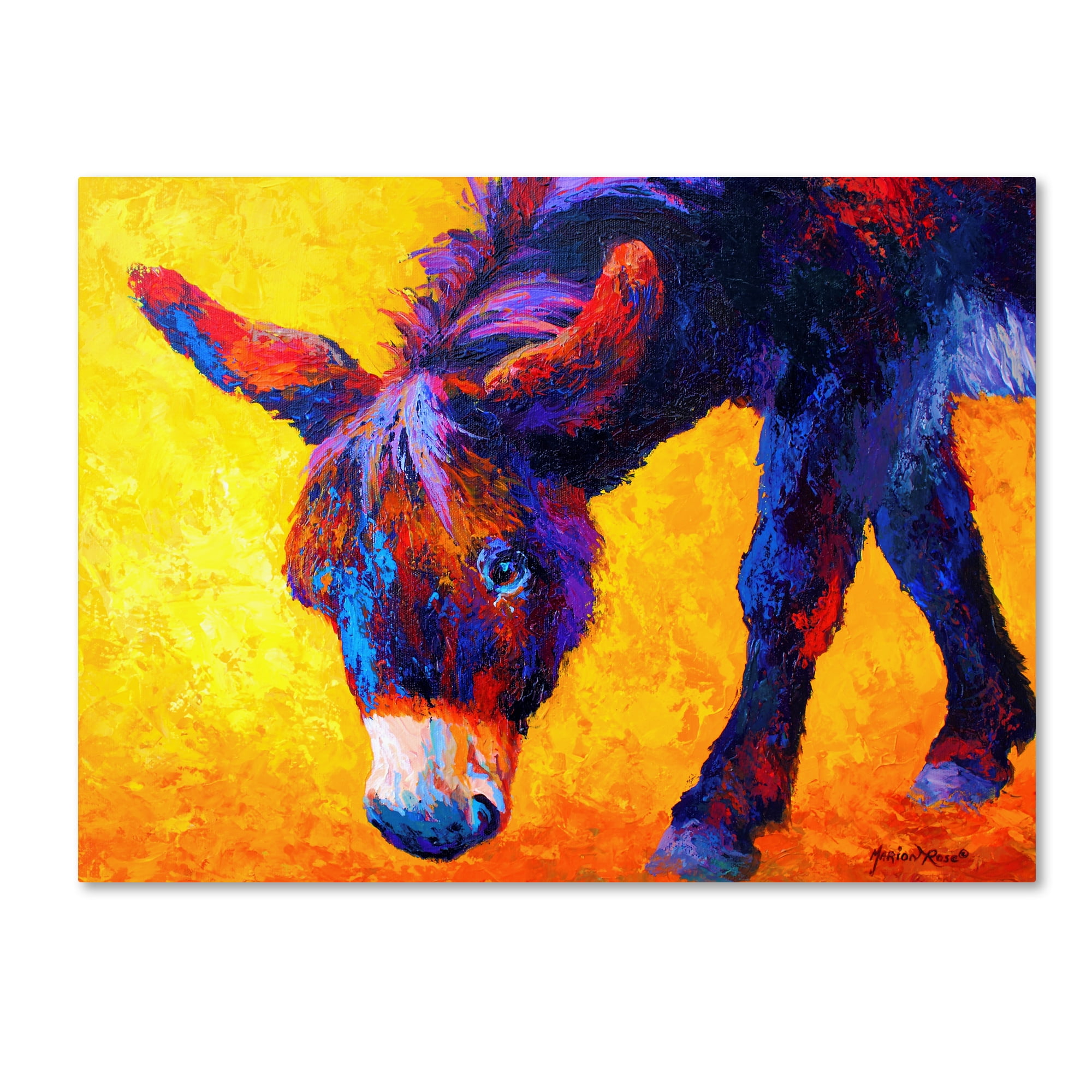 Trademark Fine Art 'Donkey II' Canvas Art by Marion Rose