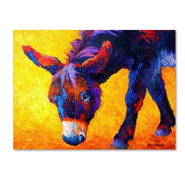 Trademark Fine Art 'Donkey II' Canvas Art by Marion Rose