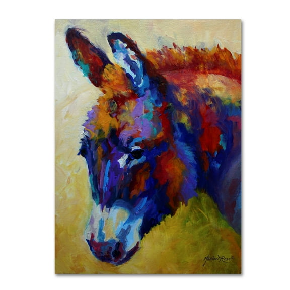 Trademark Fine Art 'Donkey XIII' Canvas Art by Marion Rose