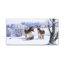 Trademark Fine Art 'Donkeys in Snow' Canvas Art by The Macneil Studio