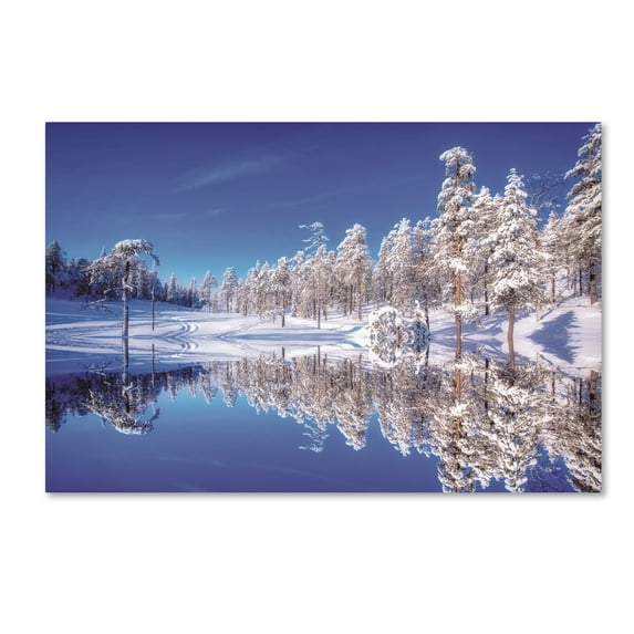 Trademark Fine Art 'Double Blue' Canvas Art by Philippe Sainte-Laudy