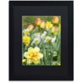 thumbnail image 1 of Trademark Fine Art "Double Headed Daffodil" Canvas Art by Kurt Shaffer, Black Matte, Black Frame, 1 of 4