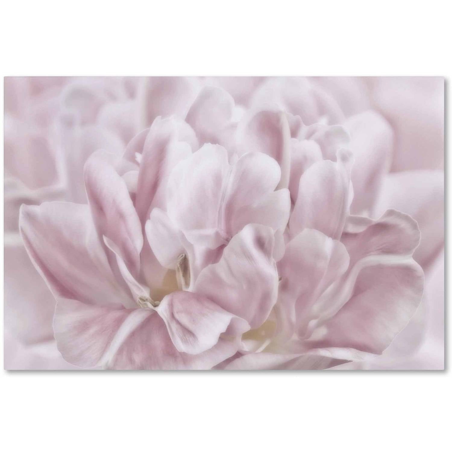 Trademark Fine Art 'Double Pink Tulip' Canvas Art by Cora Niele