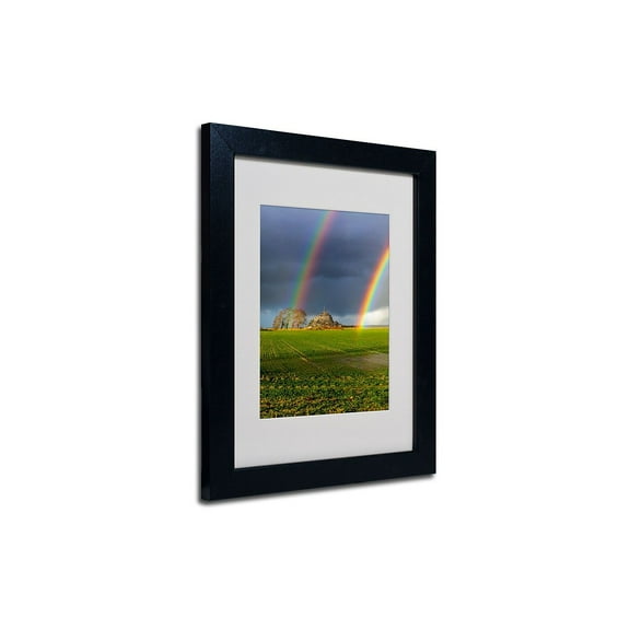 Trademark Fine Art "Double Rainbow" Framed Canvas Art by Mathieu Rivrin