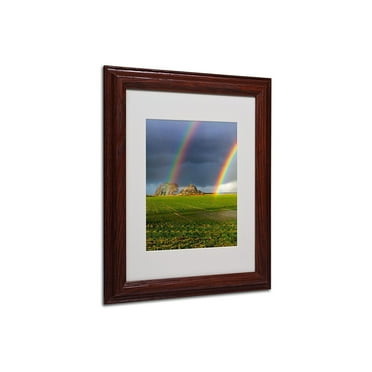 Trademark Fine Art "Double Rainbow" Framed Canvas Art by Mathieu Rivrin
