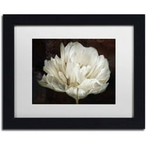 Trademark Fine Art 'Double White Tulip' Canvas Art by Cora Niele, White Matte, Black Frame