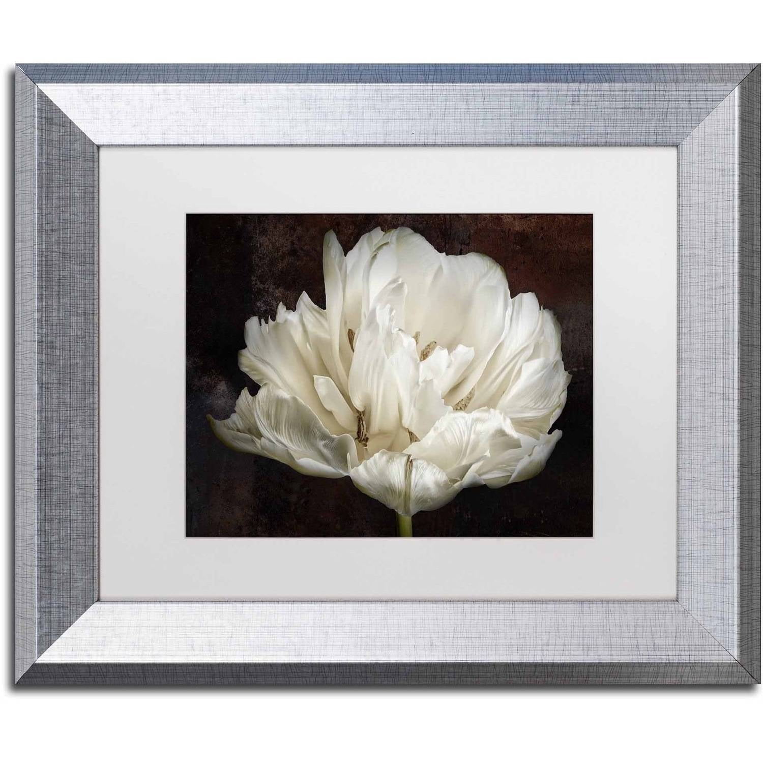 Trademark Fine Art 'Double White Tulip' Canvas Art by Cora Niele, White Matte, Silver Frame