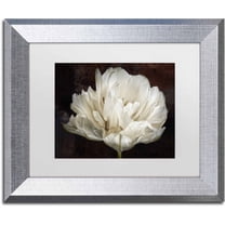 Trademark Fine Art 'Double White Tulip' Canvas Art by Cora Niele, White Matte, Silver Frame
