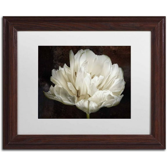 Trademark Fine Art 'Double White Tulip' Canvas Art by Cora Niele, White Matte, Wood Frame
