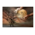 thumbnail image 1 of Trademark Fine Art 'Dough' Canvas Art by Elisaveta Jordanova, 1 of 3