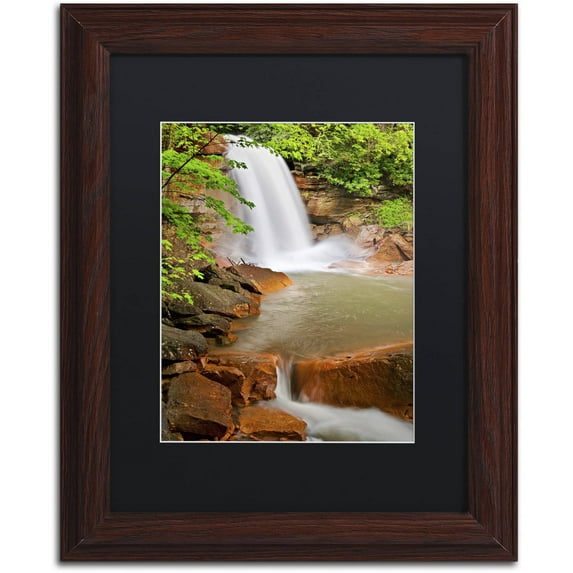 Trademark Fine Art 'Douglas Falls' Canvas Art by Michael Blanchette Photography, Black Matte, Wood Frame