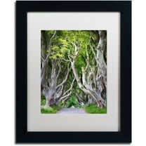 Trademark Fine Art "Down There" Canvas Art by Philippe Sainte-Laudy, White Matte, Black Frame
