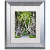 Trademark Fine Art "Down There" Canvas Art by Philippe Sainte-Laudy, White Matte, Silver Frame