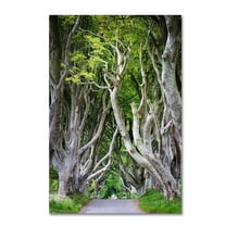 Trademark Fine Art "Down There" Canvas Art by Philippe Sainte-Laudy