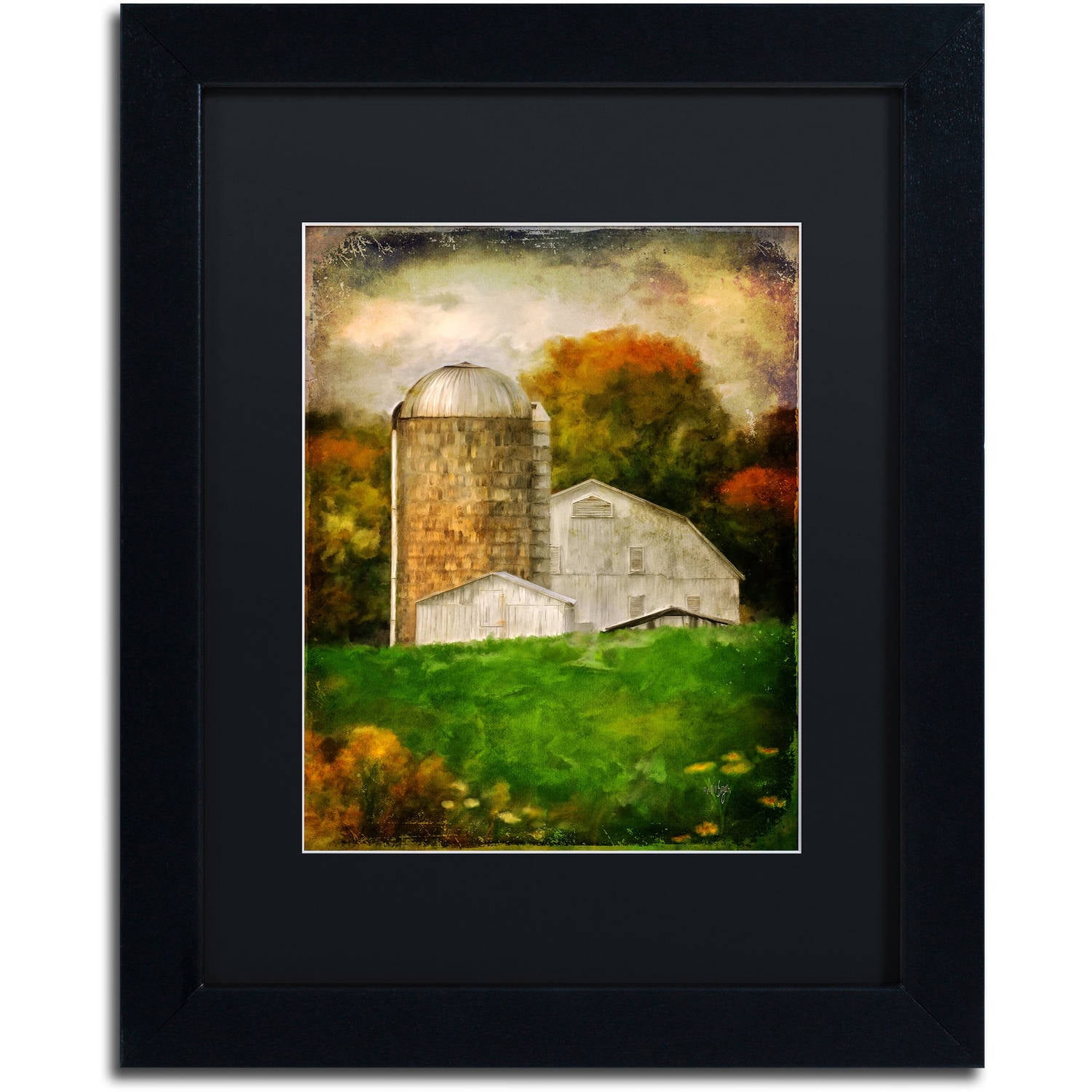 Trademark Fine Art "Down on the Farm" Canvas Art by Lois Bryan Black Matte, Black Frame