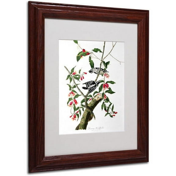 Trademark Fine Art "Downy Woodpecker" Canvas Art by John James Audubon, Wood Frame