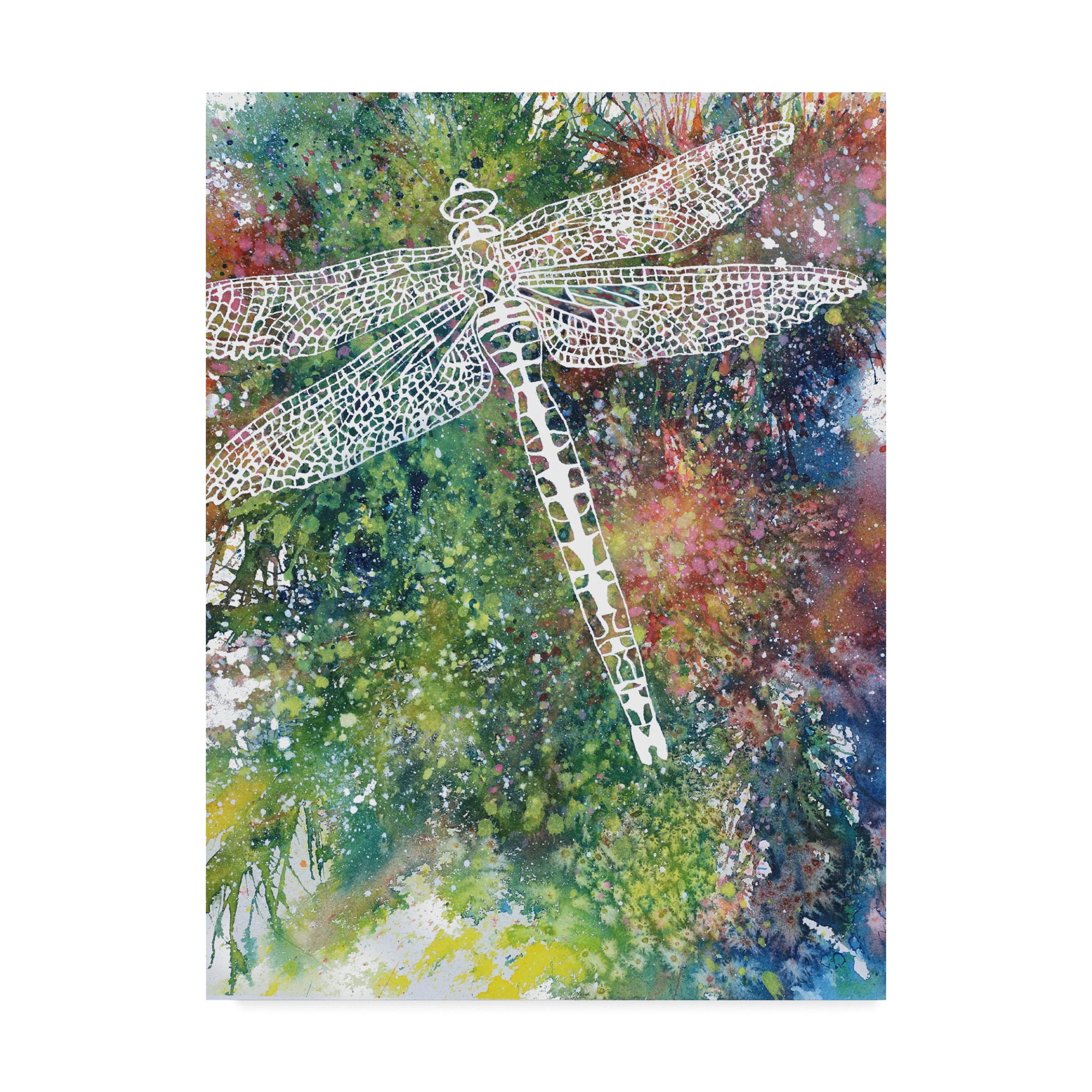 Trademark Fine Art 'Dragonfly 1' Canvas Art by Michelle Faber
