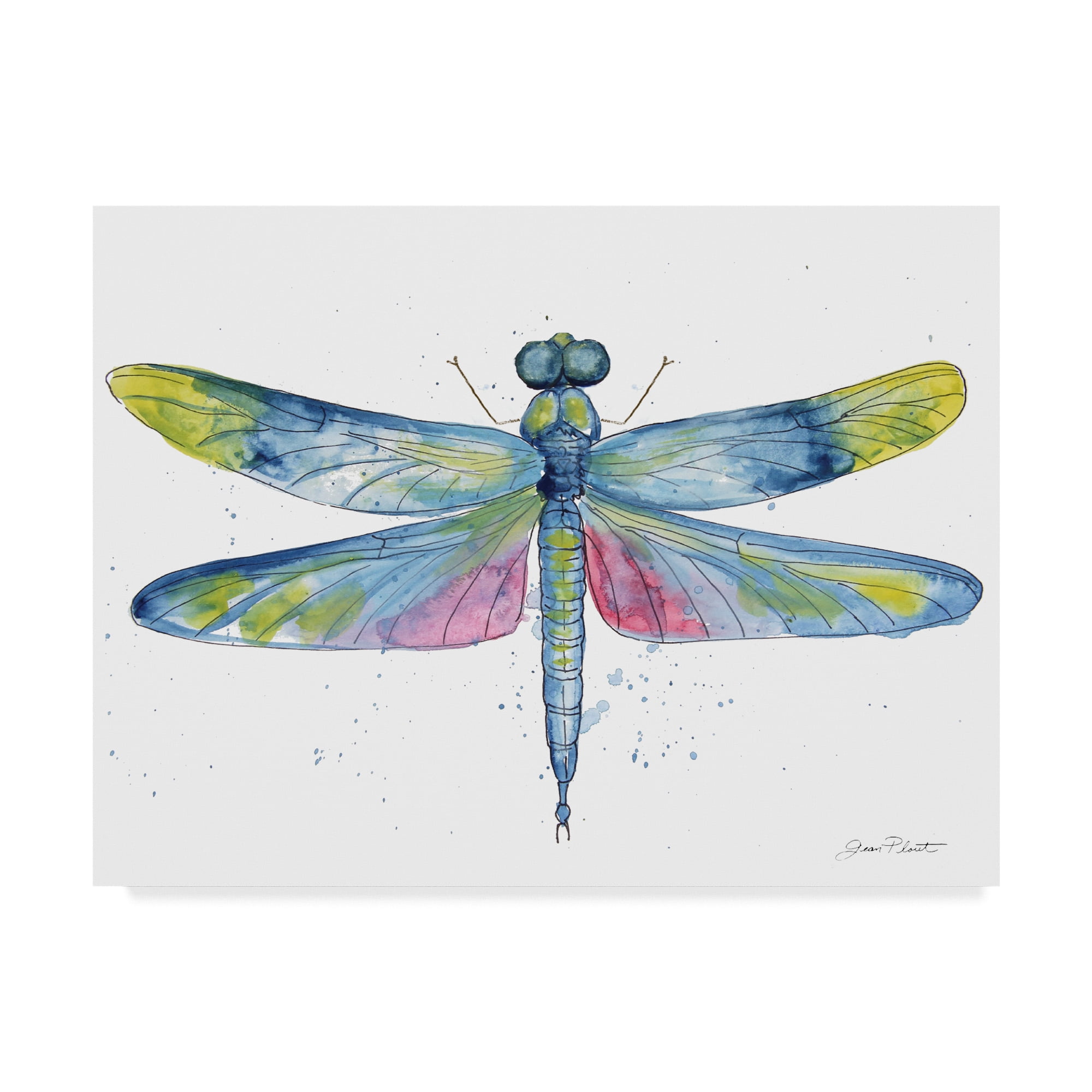 Trademark Fine Art 'Dragonfly Bliss 6' Canvas Art by Jean Plout