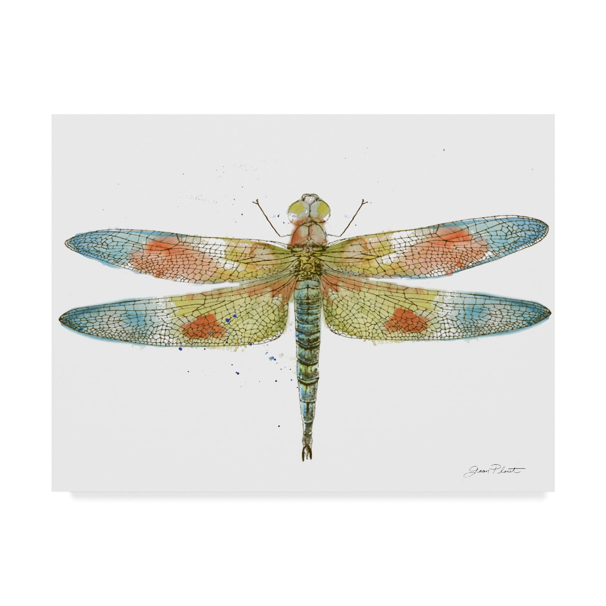 Trademark Fine Art 'Dragonfly Bliss 7' Canvas Art by Jean Plout