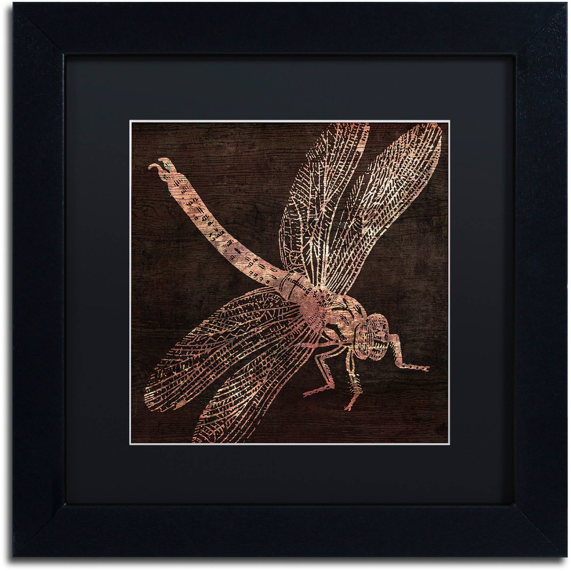 Trademark Fine Art "Dragonfly" Canvas Art by Color Bakery Black Matte, Black Frame