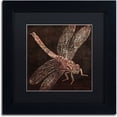 thumbnail image 1 of Trademark Fine Art "Dragonfly" Canvas Art by Color Bakery Black Matte, Black Frame, 1 of 4