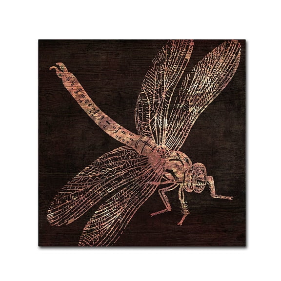 Trademark Fine Art "Dragonfly" Canvas Art by Color Bakery
