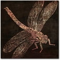 thumbnail image 1 of Trademark Fine Art "Dragonfly" Canvas Art by Color Bakery, 1 of 4