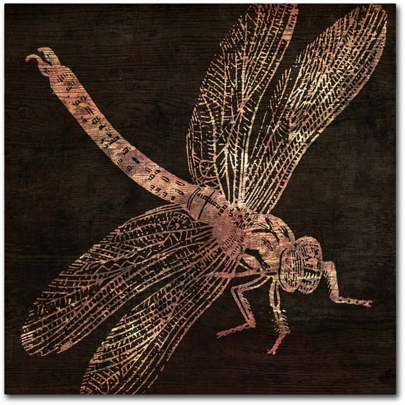 Trademark Fine Art "Dragonfly" Canvas Art by Color Bakery