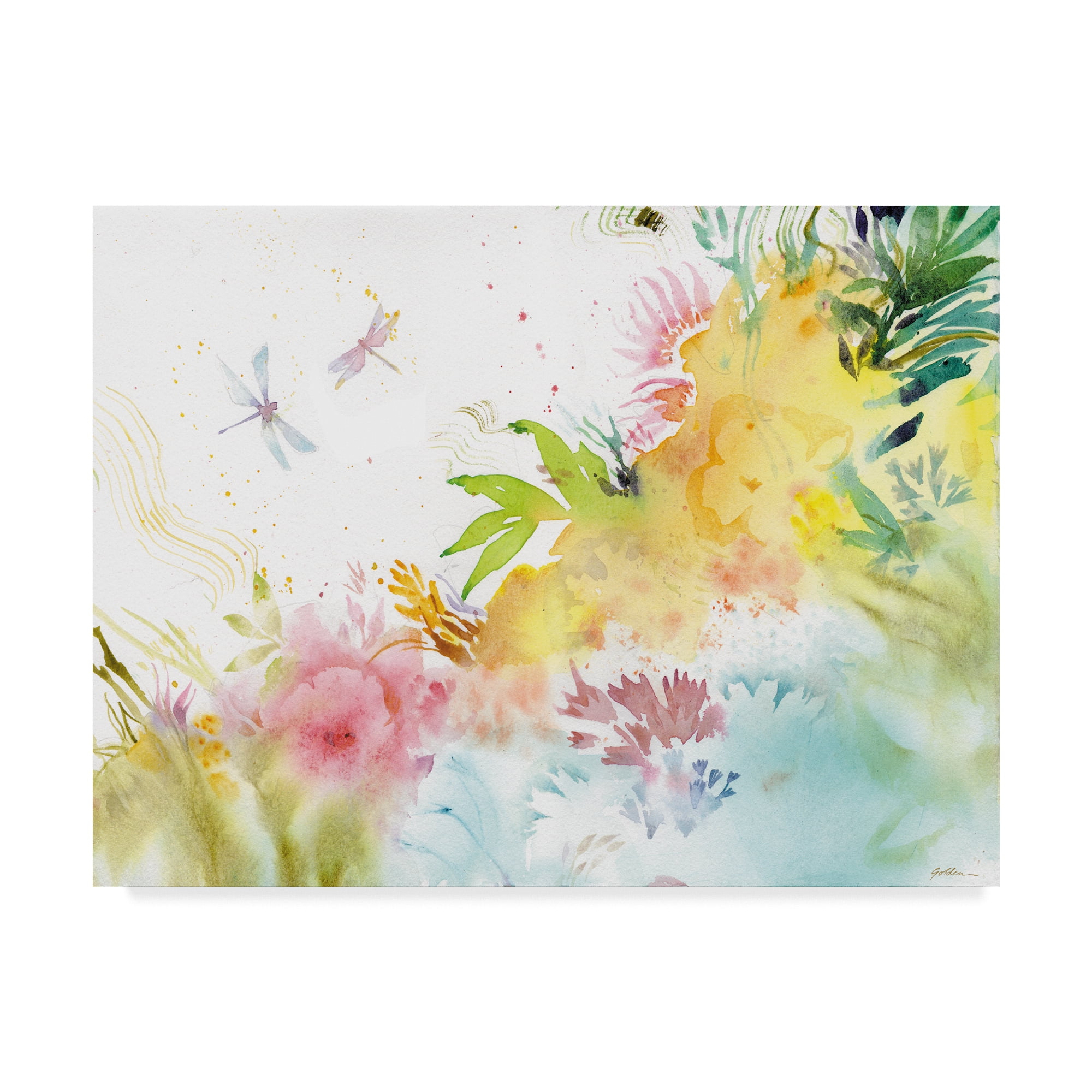 Trademark Fine Art 'Dragonfly Harmony' Canvas Art by Sheila Golden