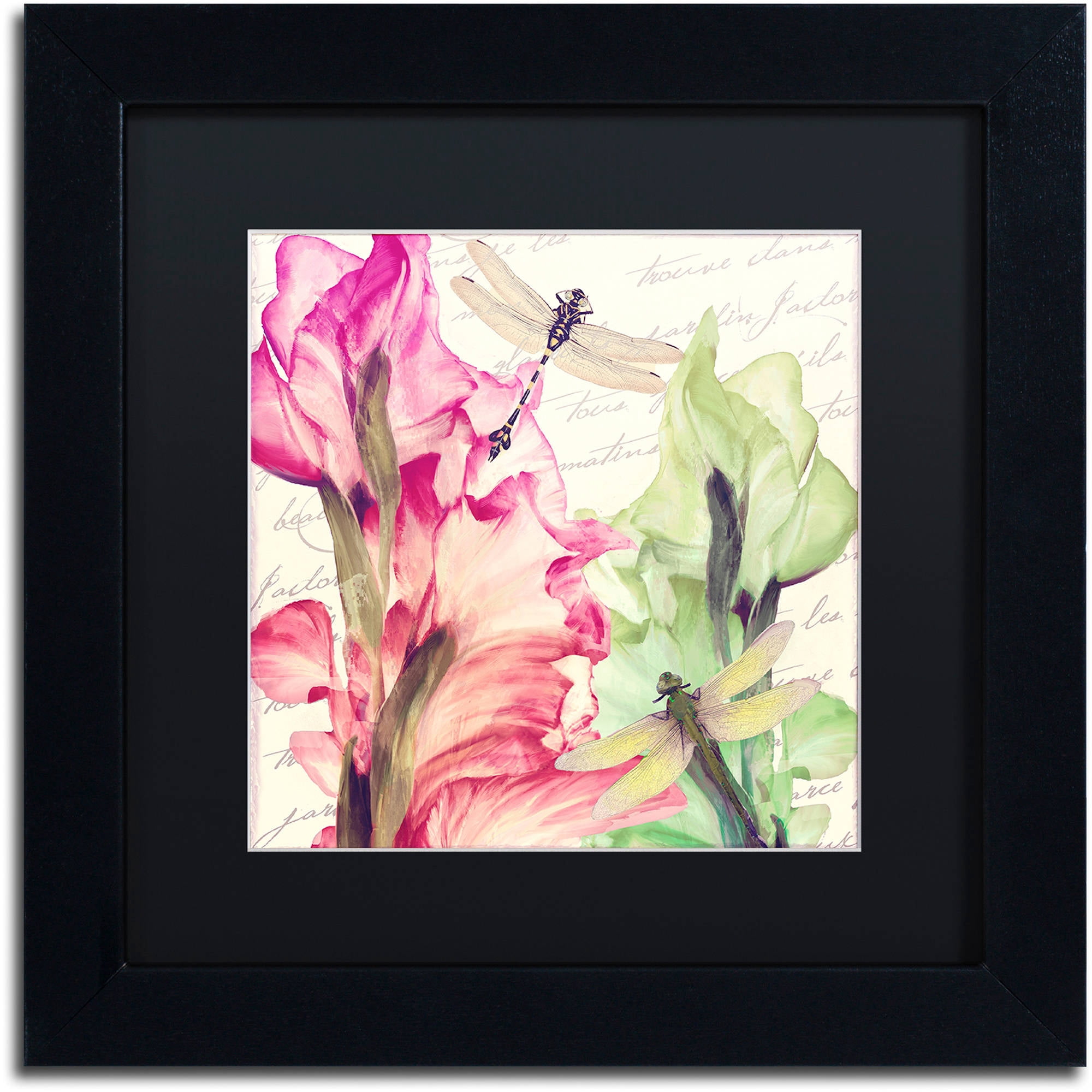 Trademark Fine Art "Dragonfly Morning II" Canvas Art by Color Bakery Black Matte, Black Frame