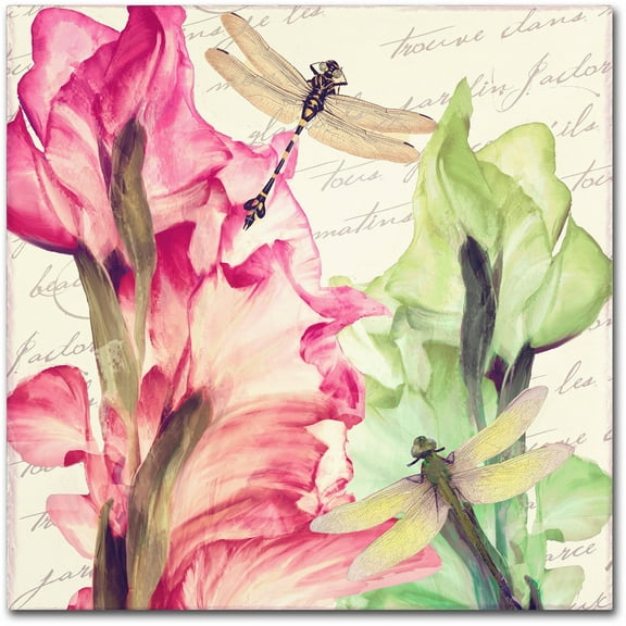 Trademark Fine Art "Dragonfly Morning II" Canvas Art by Color Bakery
