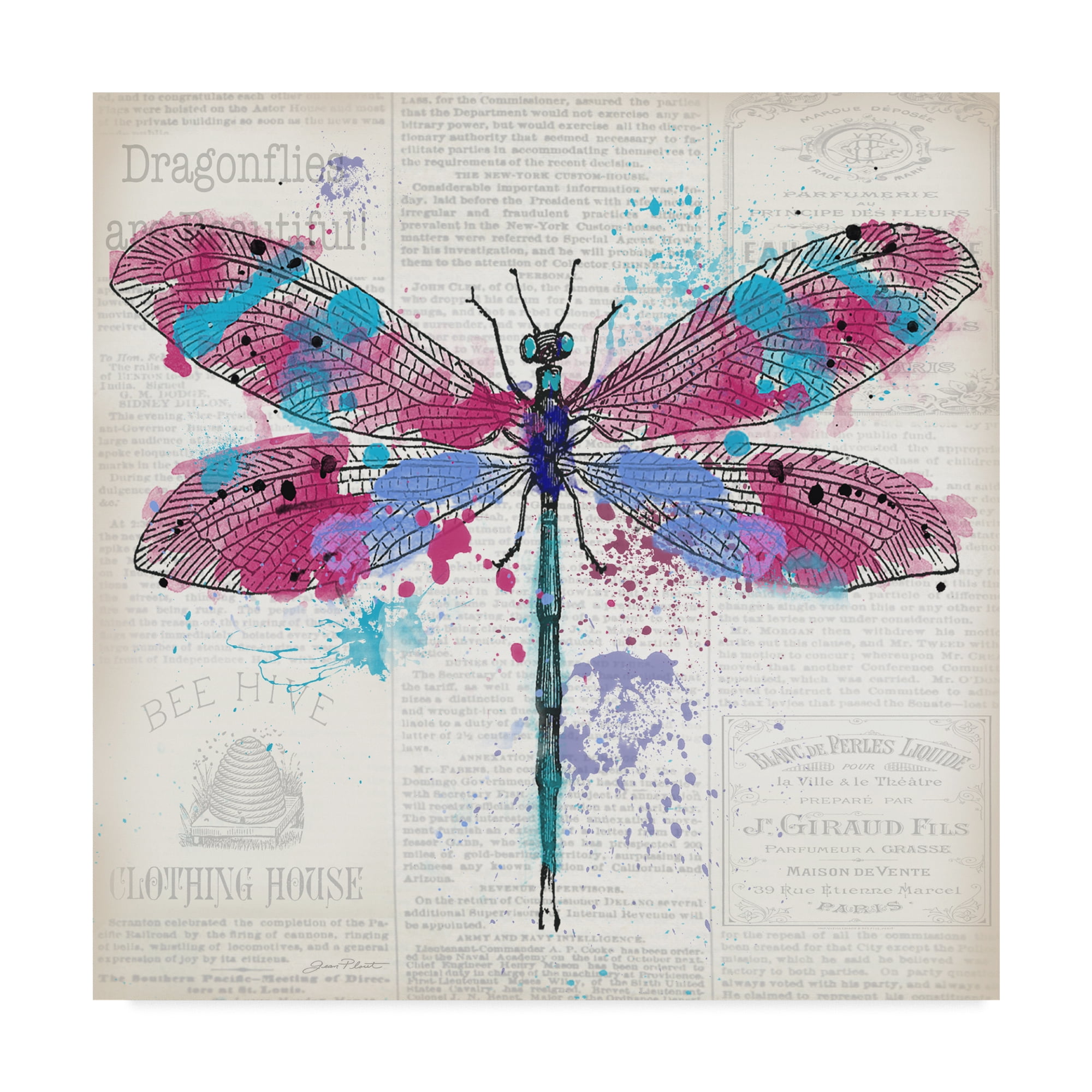 Trademark Fine Art 'Dragonfly On Newsprint 2' Canvas Art by Jean Plout