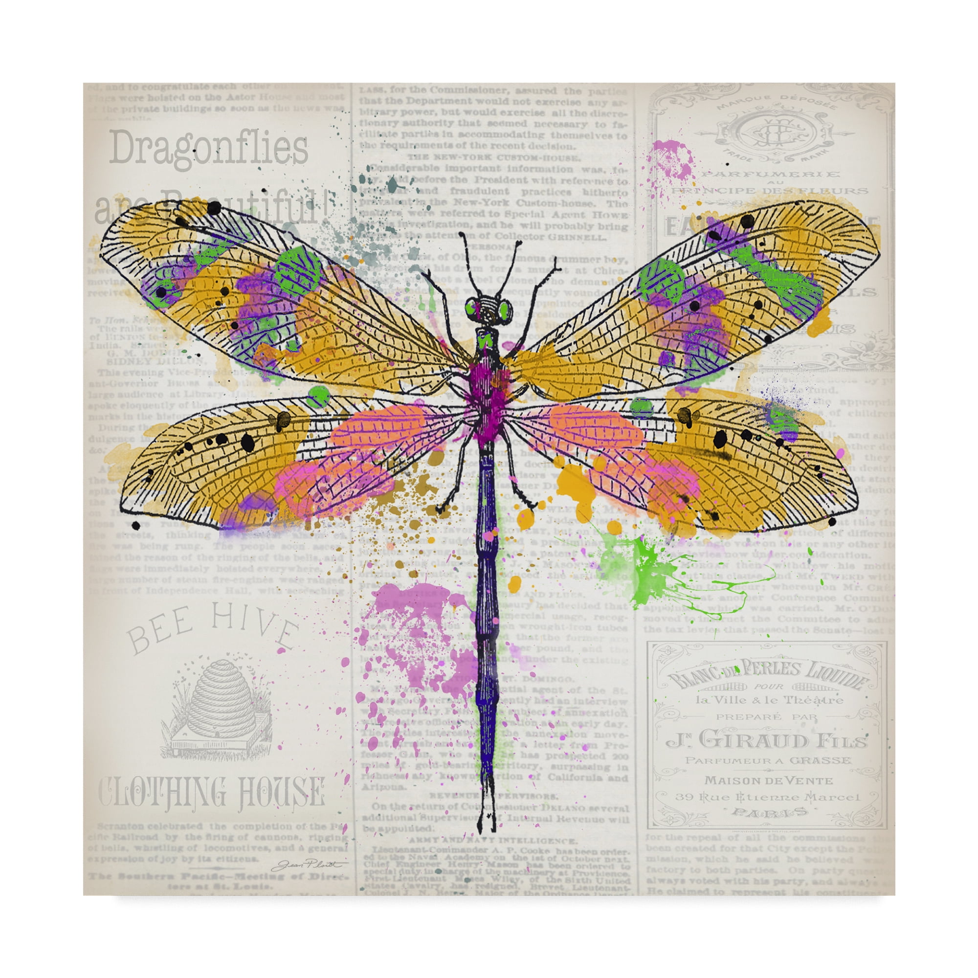 Trademark Fine Art 'Dragonfly On Newsprint 3' Canvas Art by Jean Plout