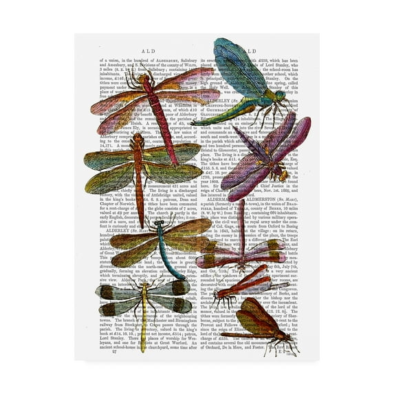 Trademark Fine Art 'Dragonfly Print 3' Canvas Art by Fab Funky