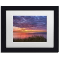 Trademark Fine Art 'Drama at the Marsh' Canvas Art by Michael Blanchette Photography, White Matte, Black Frame