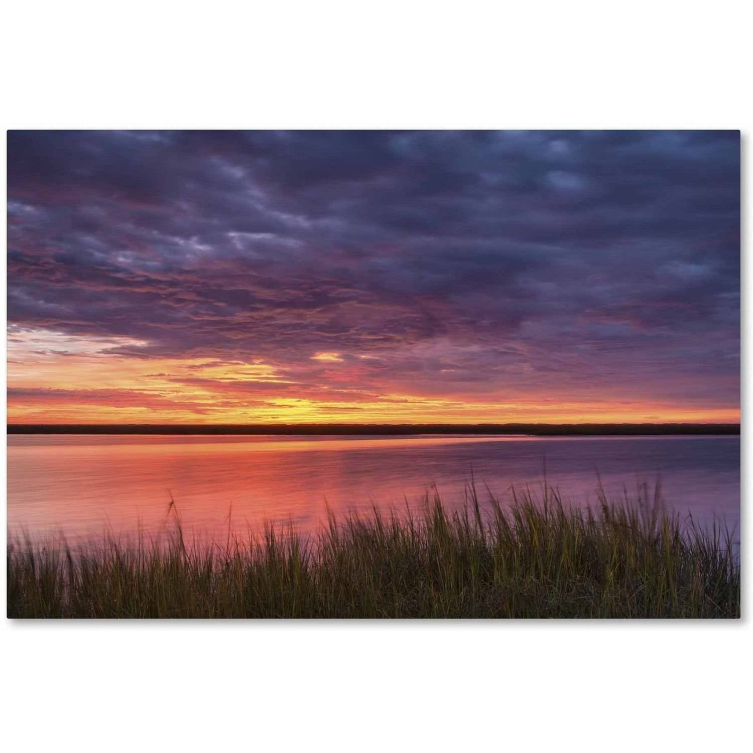 Trademark Fine Art 'Drama at the Marsh' Canvas Art by Michael Blanchette Photography