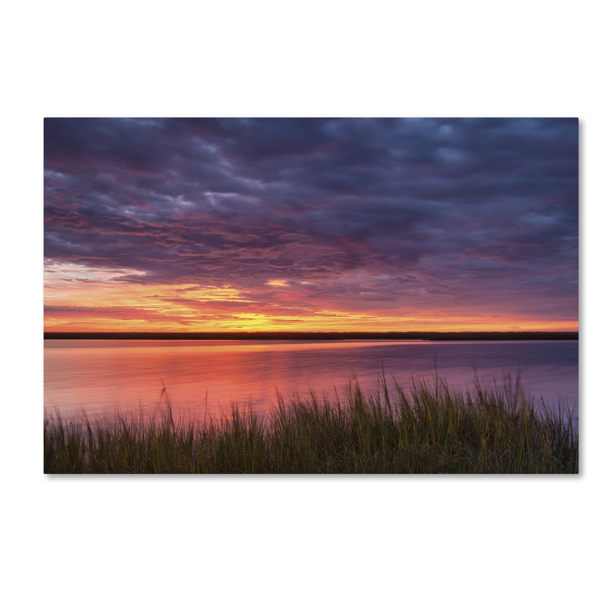 Trademark Fine Art 'Drama at the Marsh' Canvas Art by Michael Blanchette Photography