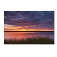 thumbnail image 1 of Trademark Fine Art 'Drama at the Marsh' Canvas Art by Michael Blanchette Photography, 1 of 3