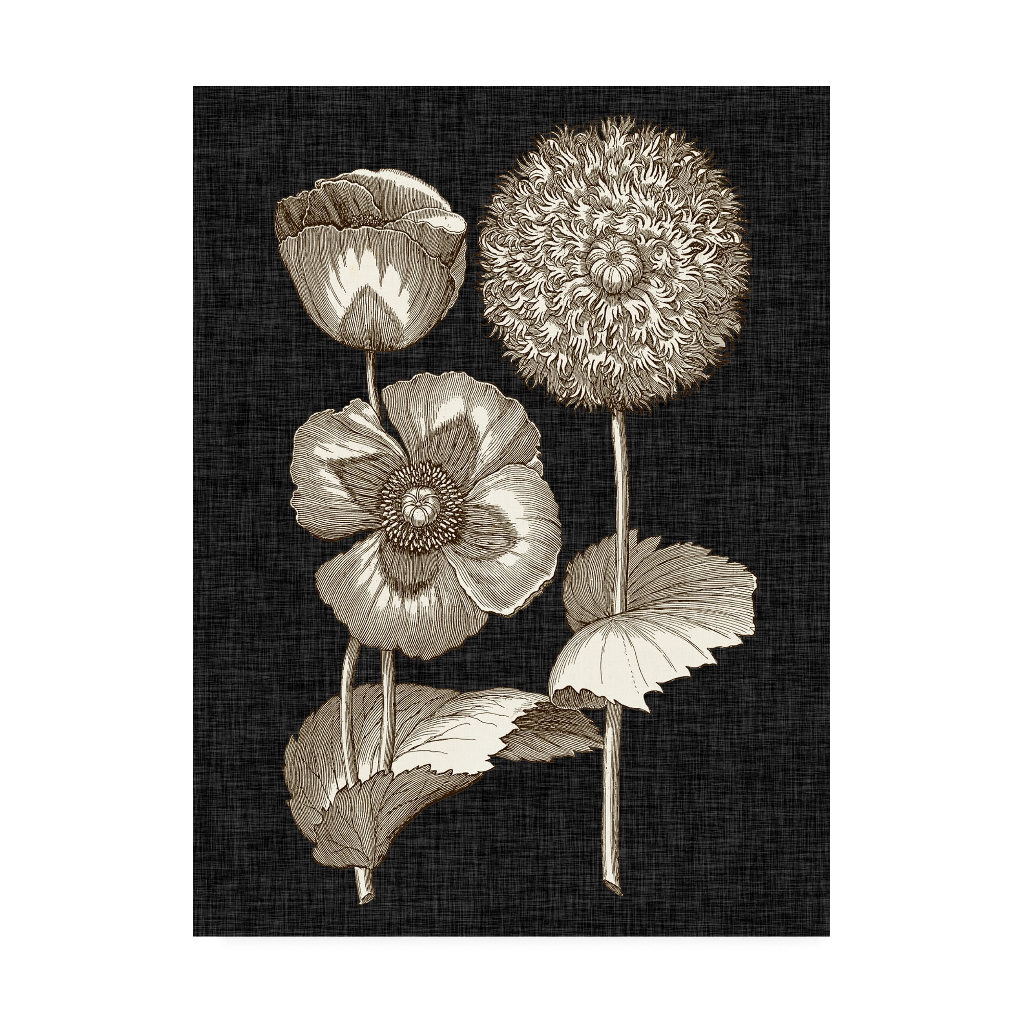 Trademark Fine Art 'Dramatic Chintz III' Canvas Art by Vision Studio