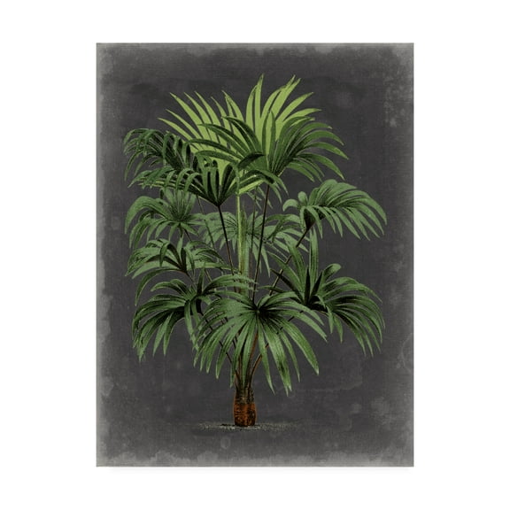 Trademark Fine Art 'Dramatic Palm I' Canvas Art by Vision Studio