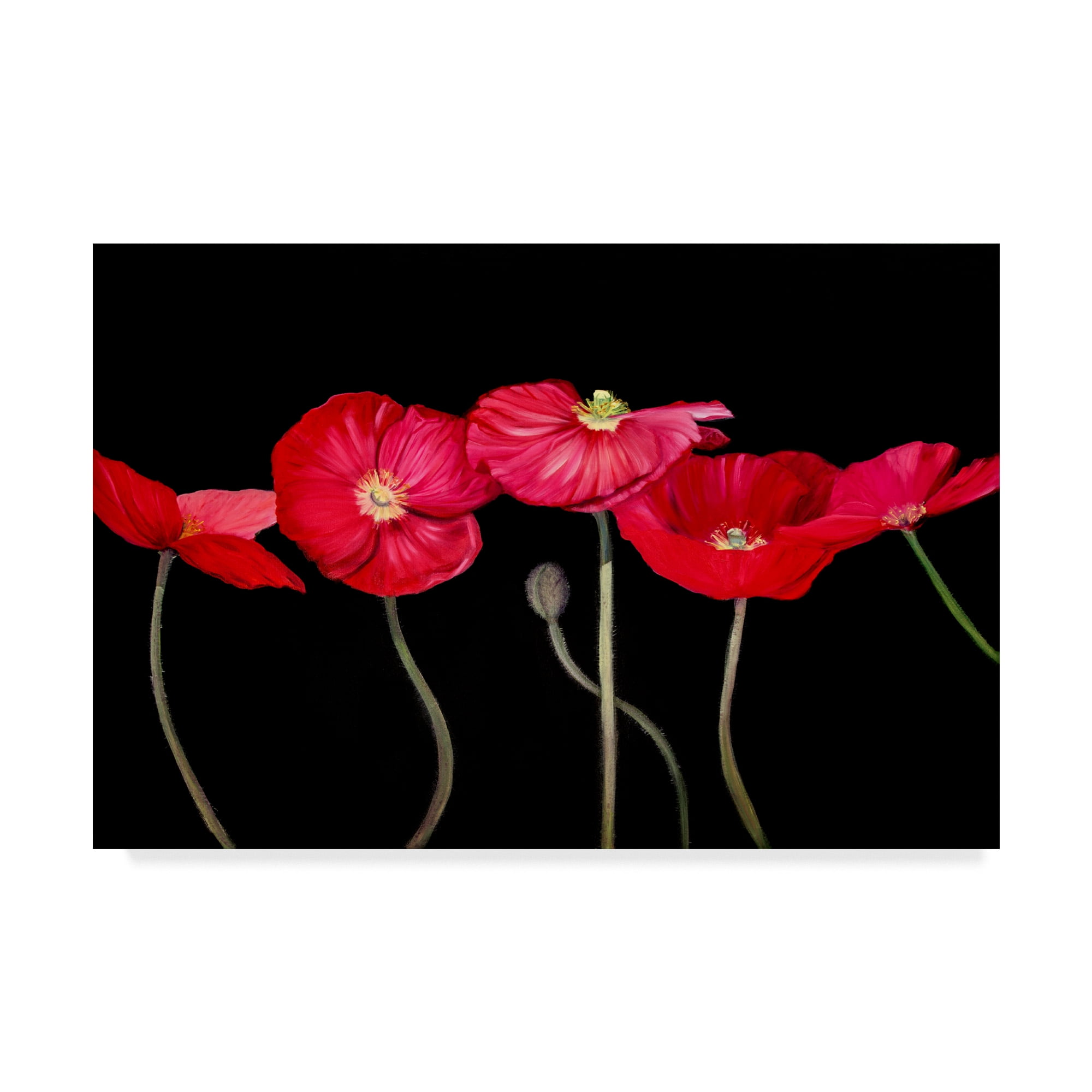 Trademark Fine Art 'Dramatic Poppies' Canvas Art by Sandra Iafrate
