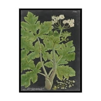 Trademark Fine Art 'Dramatic Weinmann Greenery I' Canvas Art by Vision Studio