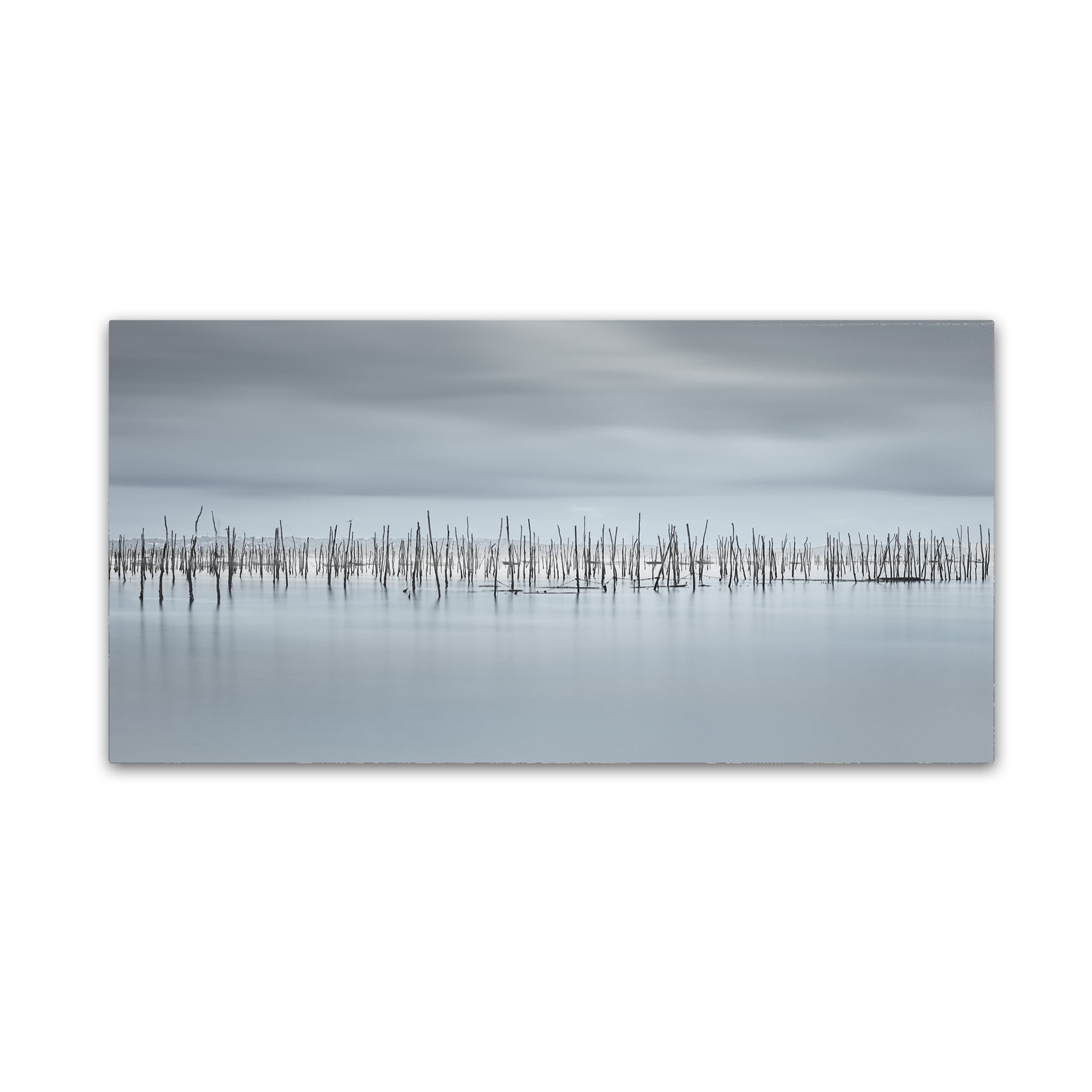 Trademark Fine Art 'Drawing Lines' Canvas Art by Moises Levy