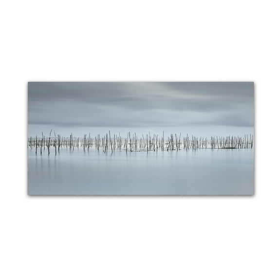 Trademark Fine Art 'Drawing Lines' Canvas Art by Moises Levy