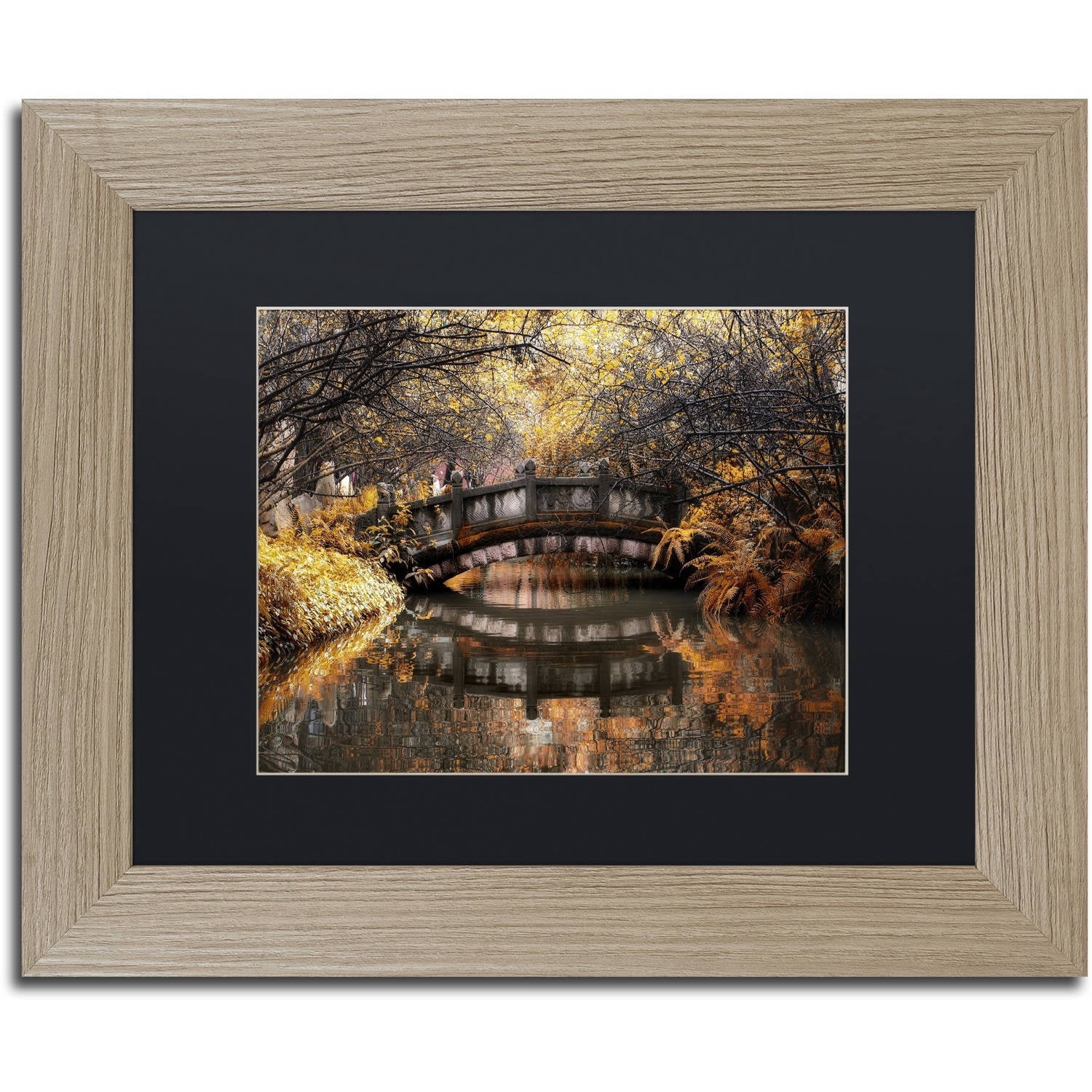 Trademark Fine Art "Dream Fall" Canvas Art by Philippe Hugonnard, Black Matte, Birch Frame
